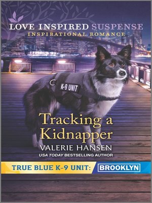 Tracking a Kidnapper - ebook